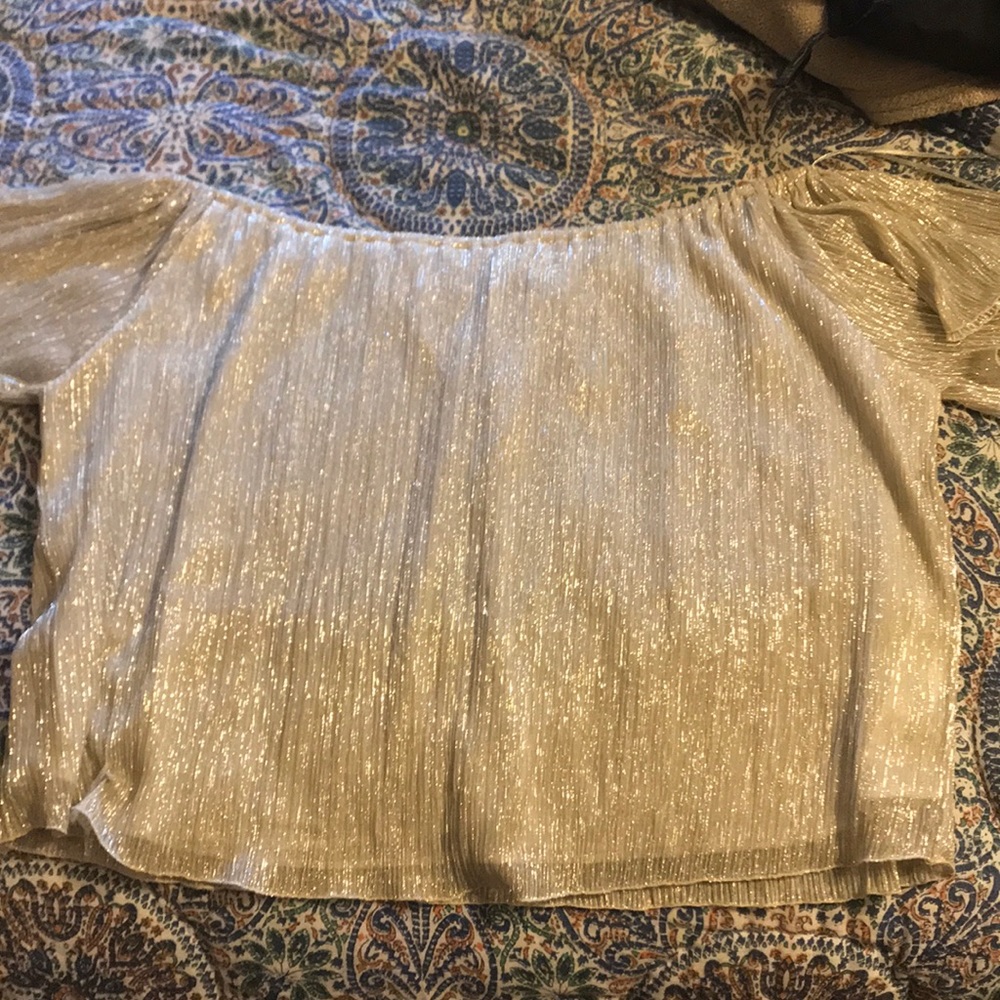 Shimmery Micropleat off the shoulder top